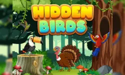 Hidden Birds image