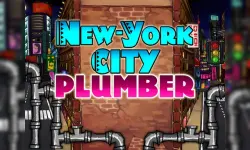 Newyork City Plumber image