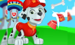 image bg Paw Patrol Puppy Ninja Slice Fruit