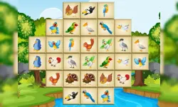 Birds Mahjong Deluxe image