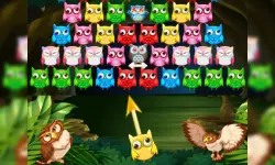 Owl Shooter image