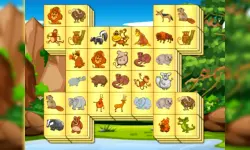 Zoo Mahjongg Deluxe image