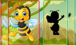 Lof Shadow Match 1 image