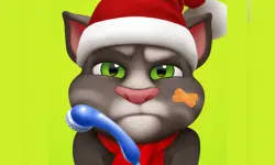 Talking Tom Injfdfury image