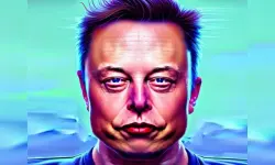 Funny Elon Musk Face image