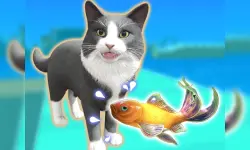 image bg Pet Trainer Duel