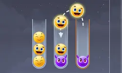 Emoji Sort Master image