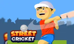 Street Cricket image