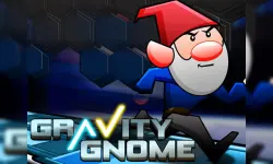 Gravity Gnome image