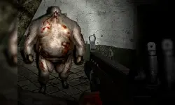 Silent Asylum image