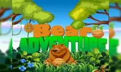 Bear Adventure Online Game image
