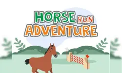 Horse Run Adventure image
