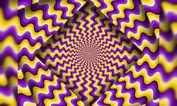 Optical Illusion image