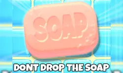 Dont Drop The Soap image