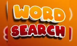 image bg The Word Search