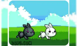 Bu Bunny Two Rabbit image
