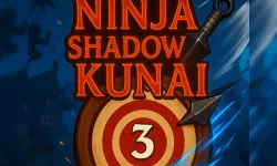 Ninja Shadow Kunai image