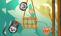 Slings to the Basket image