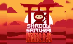 Shadow Samurai Ninja image