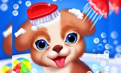 Princess Pup Rescue image