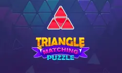 Triangle Matching Puzzle image
