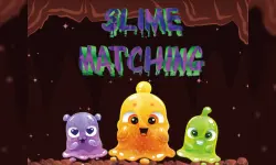 Slime Matching image