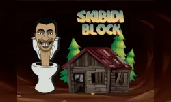 Skibidi Blocks image