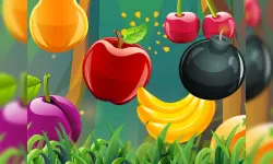 Fruit Cutting image