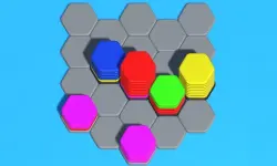 Hexa Sort 3D Puzzle image