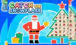 Catch The Snowflake image