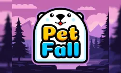 Pet Fall image