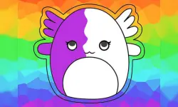 Squishmallow Coloring Book image