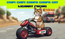 Chipi Chipi Chapa Chapa Cat Highway Racing image