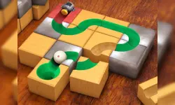 Sliding block, brain, rolling puzzle image