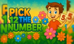 Pick The Number image