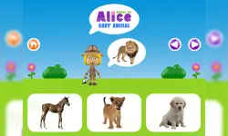 World of Alice - Baby animal image