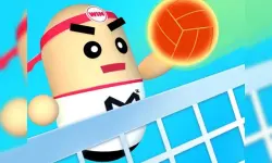3D Amazing VolleyBall image