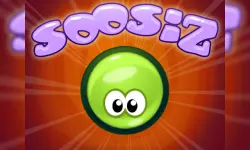 Soosiz image