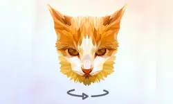 Poly Art image