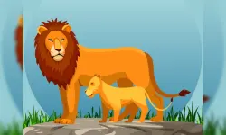 image bg Wild Animals and Their Babies