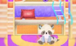 Sisters Bunk Bed Design image