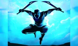 Shadow Ninja Warriors image