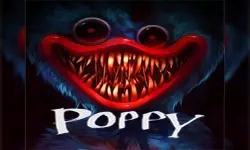 Poppy Play Night image