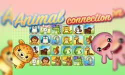 Animal Connection image