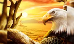 Eagle Slide image