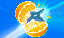 Fruit Slice Juice image