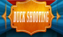 DuckShooting image