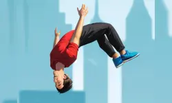 Flip Master image