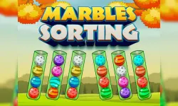 Marbles Sorting image