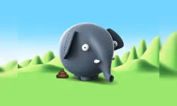 ollli ball image